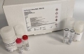 my-Budget <br>Virus DNA/RNA Kit