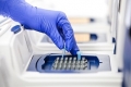 my-Budget 5x PCR-Mastermix FAST